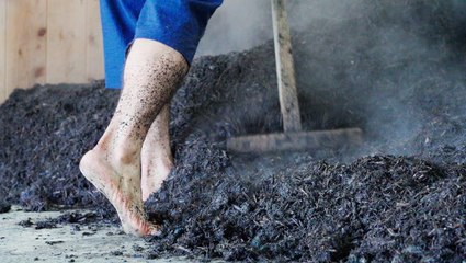 How Japan's 800-year-old indigo dyeing process is still standing