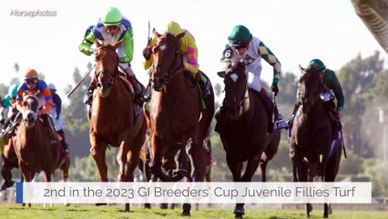 Porta Fortuna Points for 1,000 Guineas and Beyond