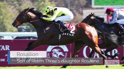 Wonder Mare Reem Three Set to Star Again at Ascot