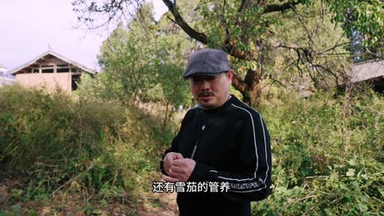 Chinese courtyard renovation 中式院落改造