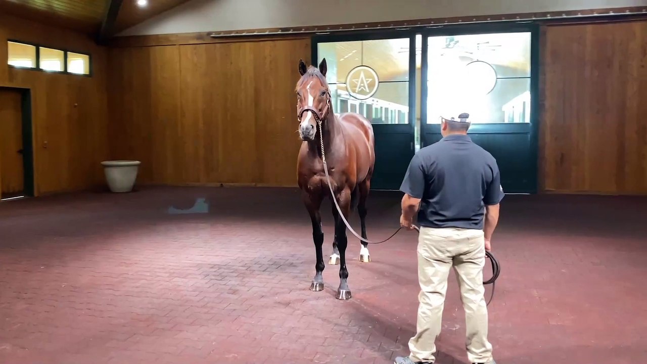 The Fastest Horse of the Week Was a Breeders' Cup Winner..But Which?