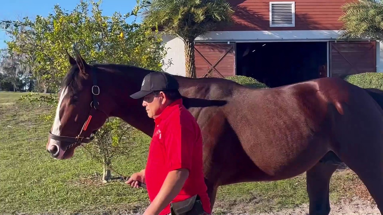 WR232-v1-Pleasant-Acres-Doppelganger