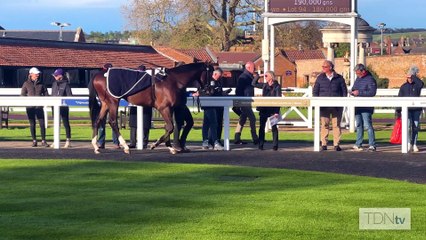 Who Will be the Leading First-Crop Sire in Europe?