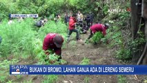 Terungkap! Viral Ladang Ganja di Gunung Bromo, Ternyata di Lereng Semeru?