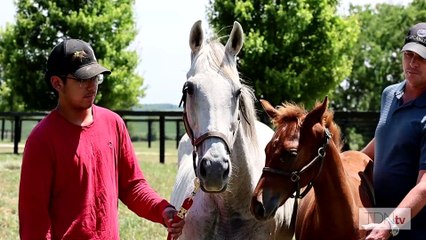 A 'Special' Flightline Foal at Machmer Hall