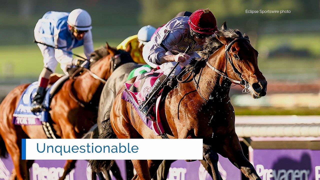 Three Cheers to the Breeder! Guillaume Vitse Breeds a Breeders' Cup winner in Unquestionable