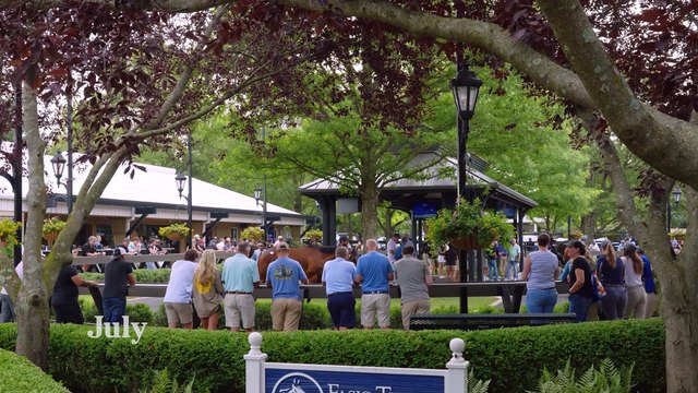 Fasig-Tipton 2025 Selected Yearlings