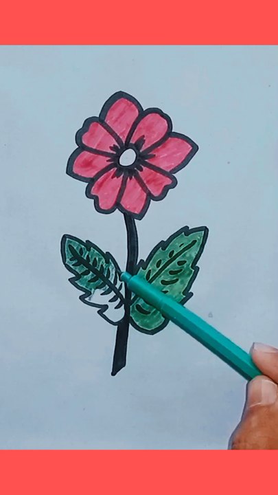 Flower Drawing For Beginners