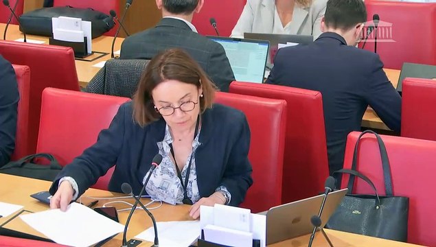 Commission des lois : Bilan des jeux olympiques et paralympiques dans le domaine de la sécurité ; M. Jean Maïa, proposé à la présidence de la Haute Autorité pour la transparence de la vie publique (HATVP) - Mercredi 19 mars 2025