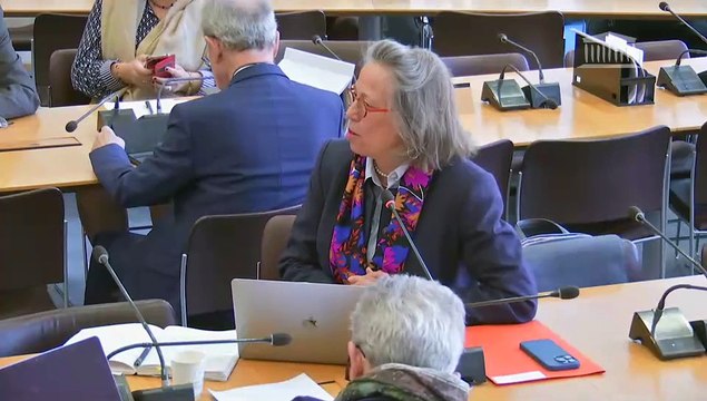 Commission de la défense : Mme Mathilde Félix-Paganon, représentante permanente de la France à la COPS ; Recrutement et fidélisation : gagner la bataille des ressources humaines du ministère des Armées - Mercredi 19 mars 2025