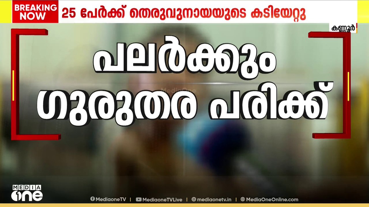 തെരുവുനായ ആക്രമണം : കണ്ണൂർ ചക്കരക്കല്ലിൽ കുട്ടി...