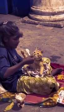 Girl Sitting by Roadside Shares Her Milkshake With Cat Using Her Own Spoon