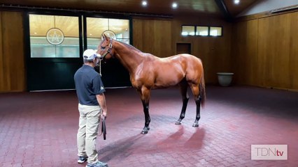 It's Derby Week! But Who Was the Fastest Horse?