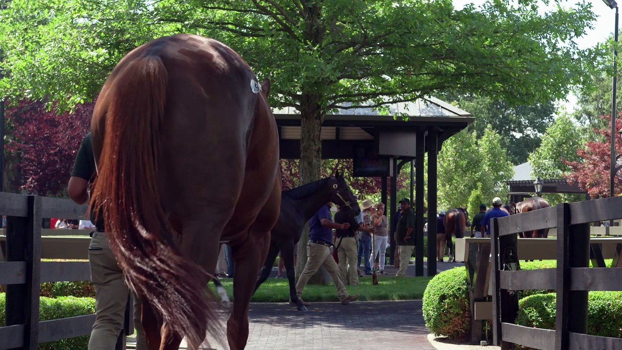 2024 Fasig-Tipton July Horses of Racing Age Sale