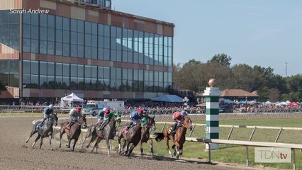 Pa-Breds for July 31, 2024