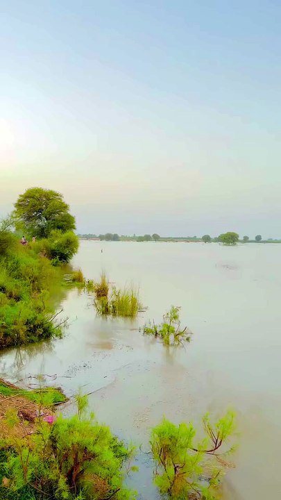 Flood Waters Devour Village ❤‍ The Unthinkable Happens  #Flood #Rain #maxrecords