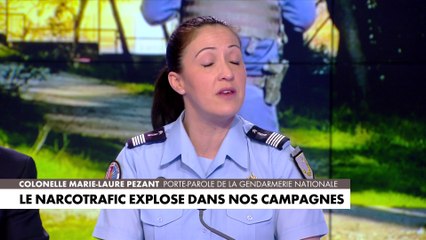 Colonelle Marie-Laure Pezant : «Nous n’avons plus aucun territoire qui est épargné»