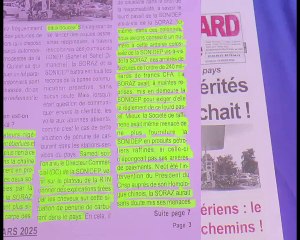Revue Presse Labari 14 Mars 2025