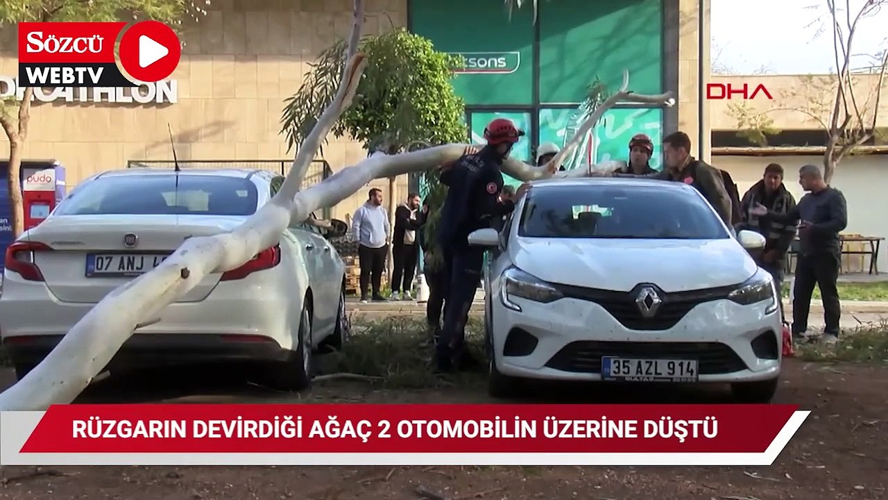Rüzgarın devirdiği ağaç 2 otomobilin üzerine düştü