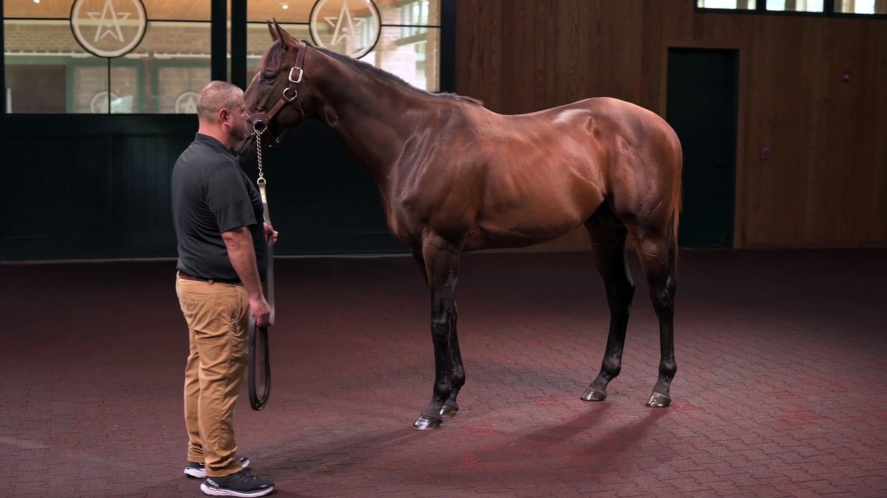 The Week Before the Breeders' Cup, Who's the Fastest Horse?