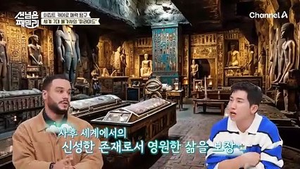 [선공개] 피라미드는 사막 한가운데 있다? No! 세계 7대 불가사의 피라미드가 있는 이집트 가이로 매력 탐구★
