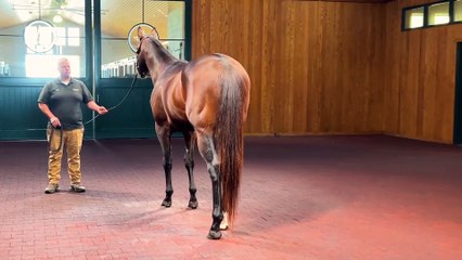 Fan Favorite Nobals Is Fastest Horse of the Week