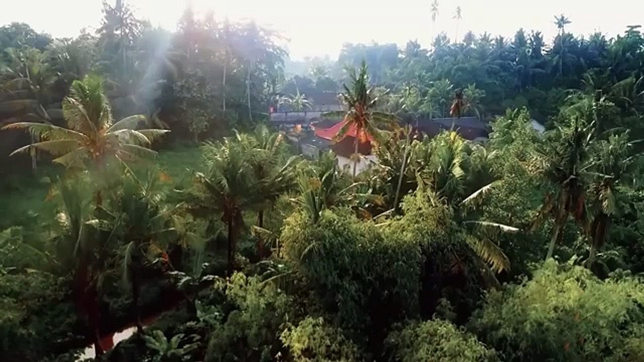 River of Blood | Full Horror/Thriller Movie | A Gory Tale of Revenge and Survival | review & facts