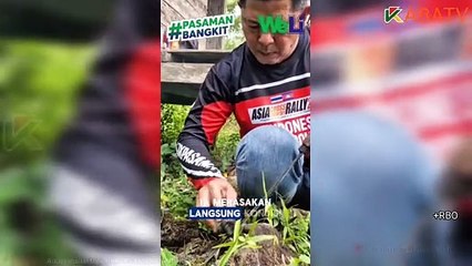 WELLY SUHERY PUTRA PASAMAN UNTUK PASAMAN BANGKIT