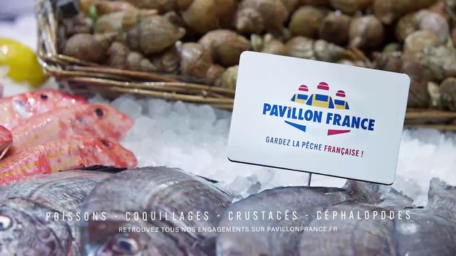 Bande-annonce de la nouvelle saison de Grey's Anatomy diffusée sur TF1