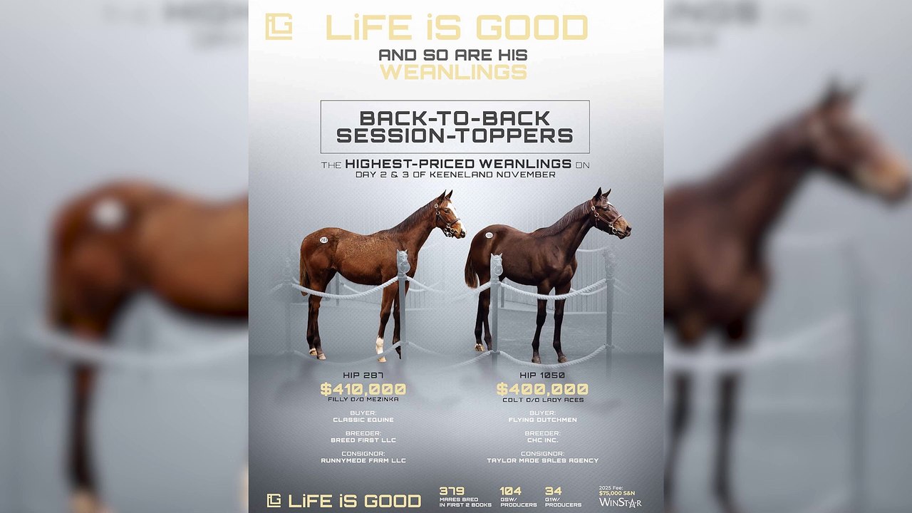 This Week's Fastest Horse? He's the Only One With A Triple-Digit Beyer