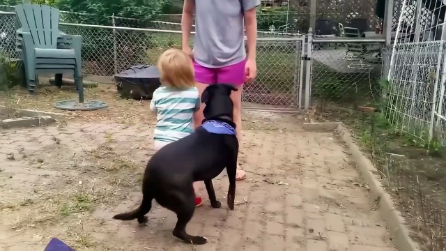 Le grand bêtisier des animaux - 20 mars