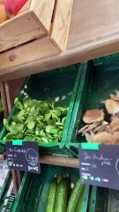 Entdecke die #Unverpacktimbergischen: Nachhaltige Kooperationen im Bergischen Land ♻️