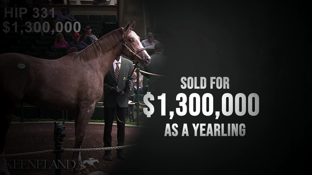Gainesway - Tapit Trice