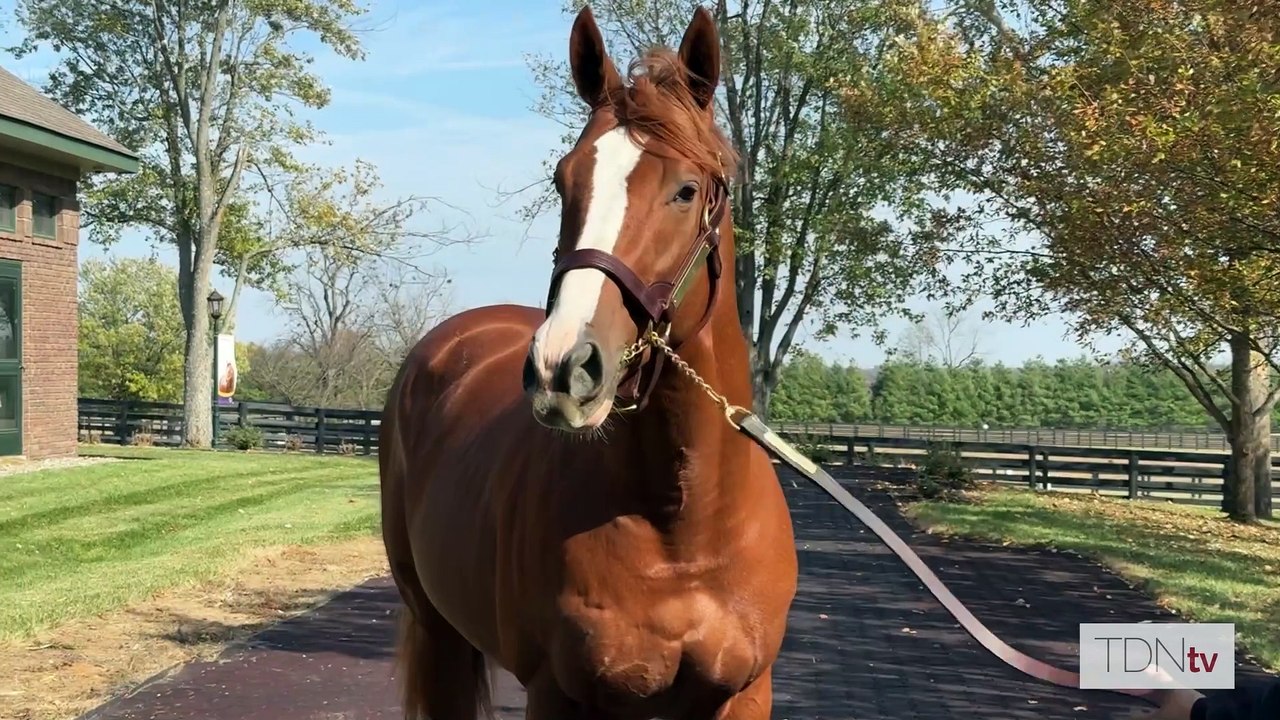 The Fastest Horse of the Week, Sponsored by WinStar's Two Phil's