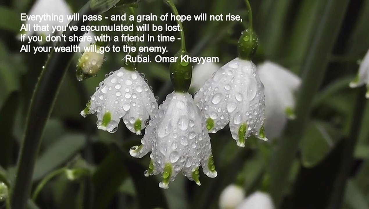 Sounds of nature and classical music - music that the heart feels