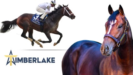 Who's The Fastest Horse for the week of Feb 26, 2025?