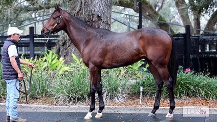 Insights on Digital Sales for Two-Year-Olds: Perspectives from Consignors