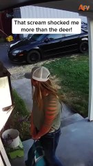 059. That scream was absolutely primal 🤣 #afv #fail #animals