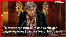 Éternelle opposante à l’atome, Dominique Voynet nommée à… un comité sur le nucléaire