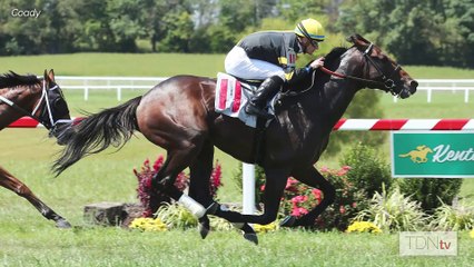 With Messier and Chewing Gum, Rockridge Brings Something New to New York