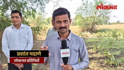 कर्जमाफीच्या विषयावर जळगावातले शेतकरी स्पष्टच बोलले