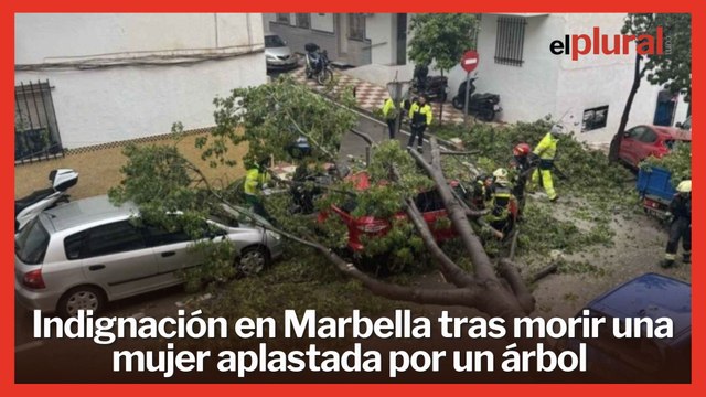 Indignación en Marbella tras morir la mujer aplastada por un árbol del que el Ayuntamiento fue advertido