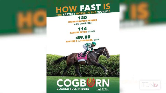 Fastest Horse of the Week? He sent shockwaves through racing