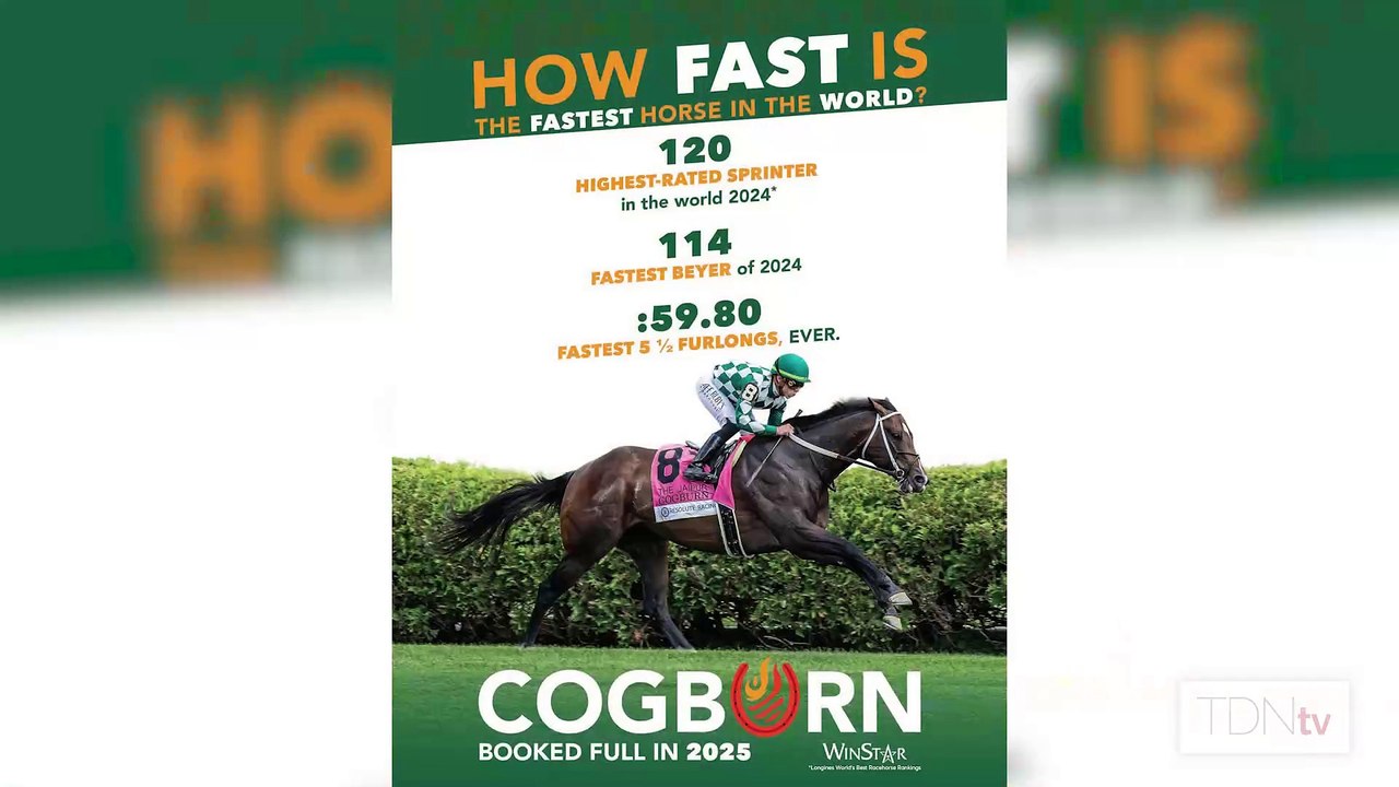 Fastest Horse of the Week? He sent shockwaves through racing