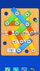 Can You Solve This Screw Puzzle Without Using Bolts?