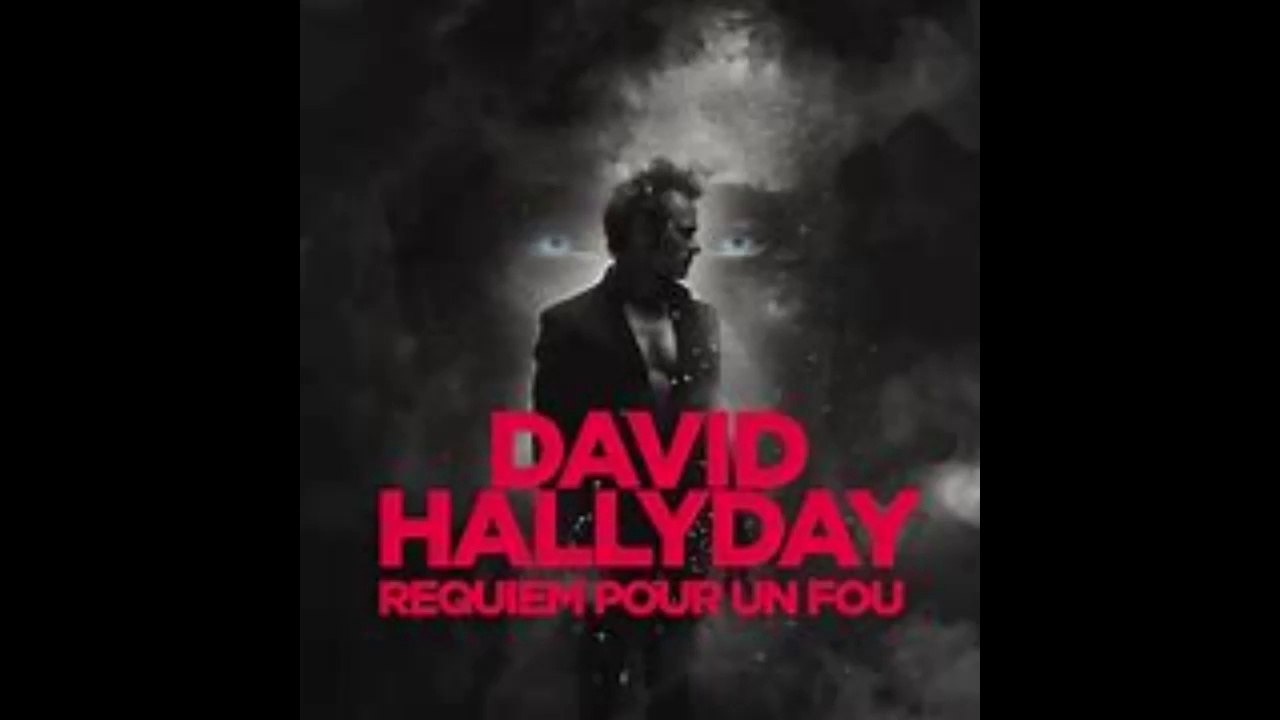 DAVID HALLYDAY