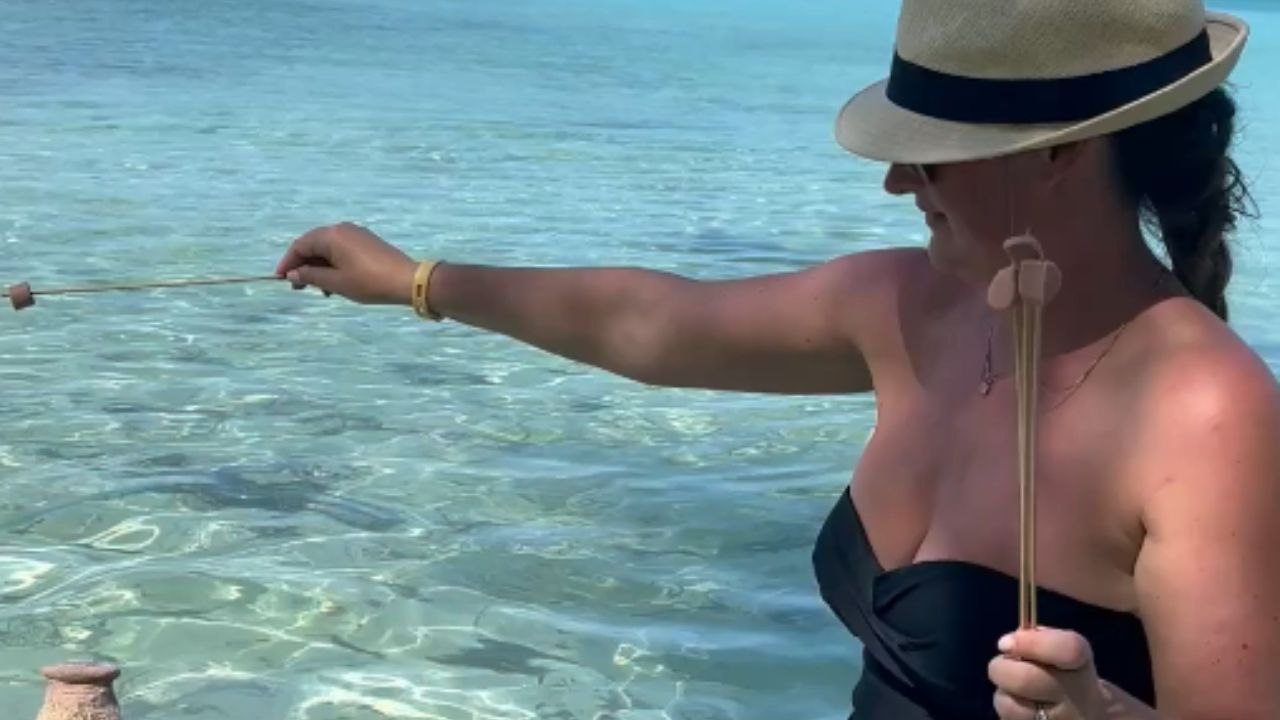 Bahamas pigs surround a woman and demand their share of the snacks