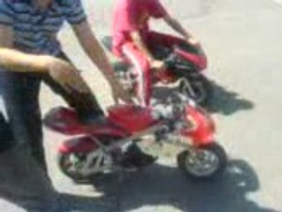 pocket