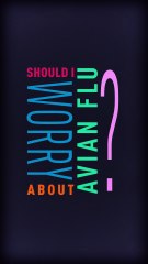 Is Avian Flu a Threat to Humans? What You Need to Know 🦅