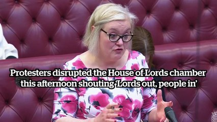 House of Lords proceedings disrupted by protesters throwing leaflets